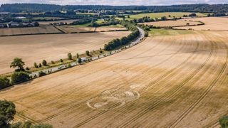 aerial of Norridge Wood from ccc