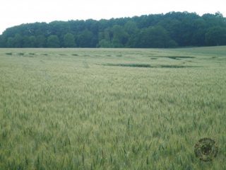 ground of Cellé from ccc
