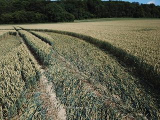 ground of Tichborne from ccc