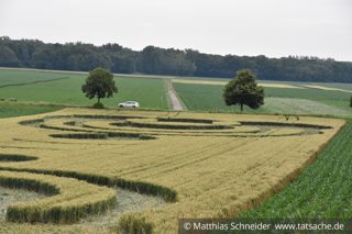 ground of Blaesheim from ccc