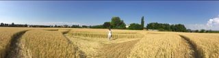 ground of Pontecurone from ccc