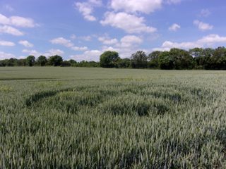 ground of Wotten Rivers from ccc