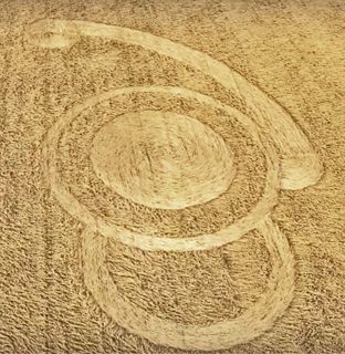 other of Malabrigo from ccc