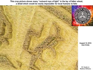 diagram of Ansty from ccc