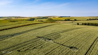 aerial of Waden Hill