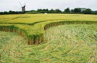 ground of Wilton Windmill from ccc