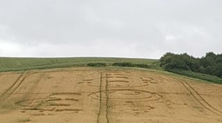 ground of Roydon from ccc
