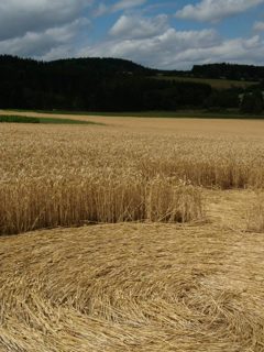ground of Jihlava from ccc