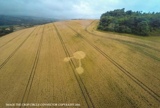 aerial of Seven Acre Wood
