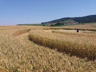 ground of Baggwilgraben from ccc