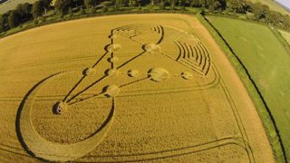 other of Badbury Rings from ccc