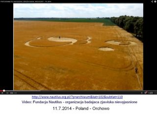 aerial of Orchowie (province. Wielkopolska)