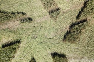 ground of Froxfield from ccc