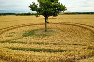 aerial of Potterne from ccc