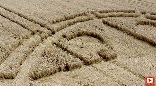 ground of Sandal Castle from ccc