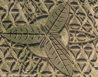 aerial of Ansty from ccc