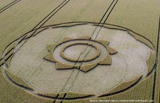 aerial of Longwood Warren from ccc