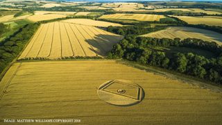 aerial of Gurston Ashes
