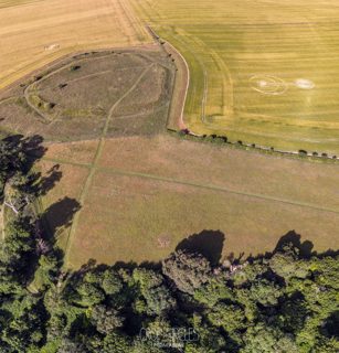 aerial of Bishopstone from ccc