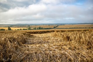 ground of Fonthill Bishop from ccc