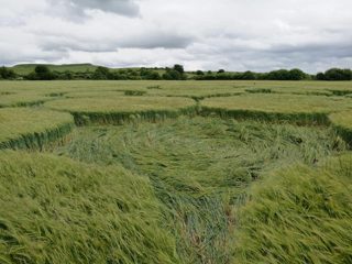 ground of Ashway from ccc