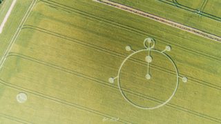 aerial of Yarnbury Castle