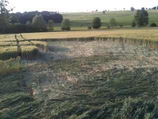 ground of Rauwiller from ccc