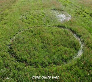 aerial of Hoeven Nature Preserve (“A-B”) Road