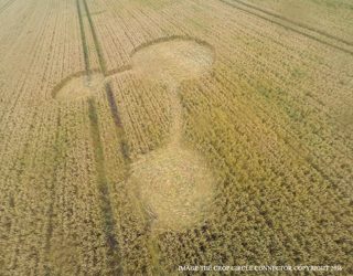 aerial of Seven Acre Wood