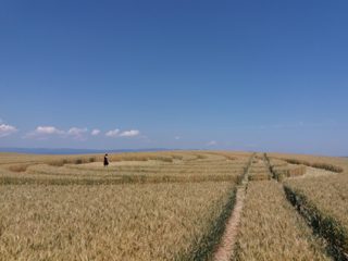 ground of Baggwilgraben from ccc