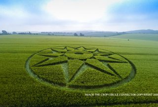 aerial of Willoughboy Hedge