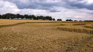 ground of Longwood Warren from ccc