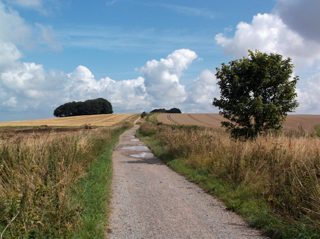 ground of Hackpen Hill from ccc