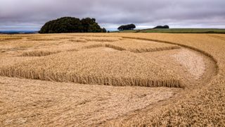 ground of Hackpen Hill from ccc