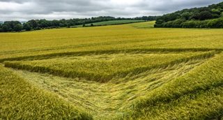 ground of Tichborne from ccc