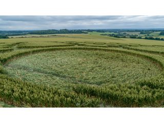 ground of Farley Mount from ccc