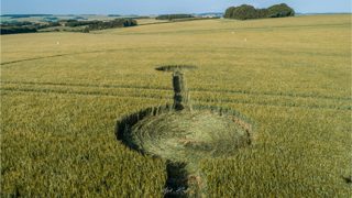 ground of Yarnbury Castle from ccc