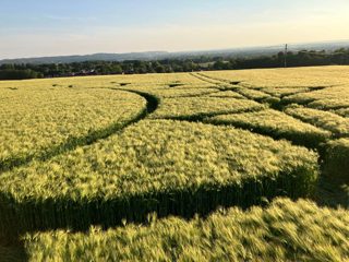 ground of Potterne Hill from ccc
