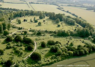 other of Danebury Hill from ccc