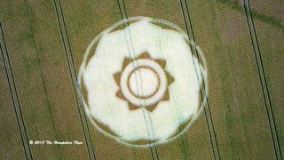 aerial of Longwood Warren