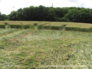 ground of Reigate from ccc