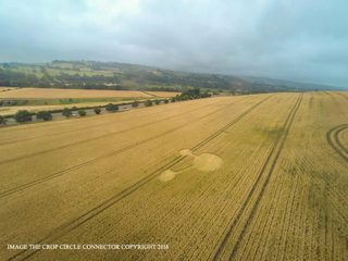 aerial of Seven Acre Wood