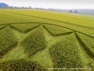 aerial of Willoughboy Hedge from ccc
