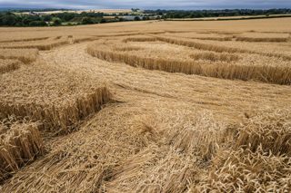 ground of Etchilhampton from ccc