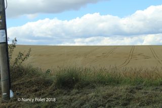 ground of Etchilhampton from ccc