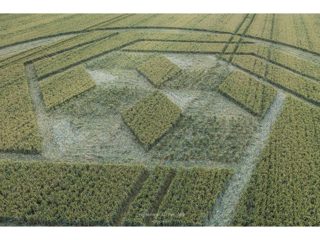 ground of Stanton St Bernard from ccc