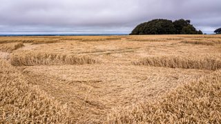 ground of Hackpen Hill from ccc