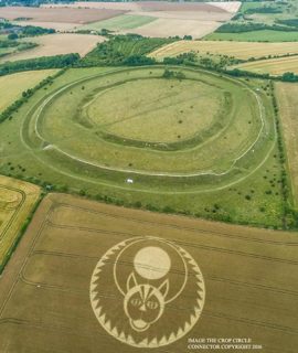 ground of Figsbury Rings from ccc