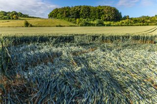 ground of Danebury Hill from ccc