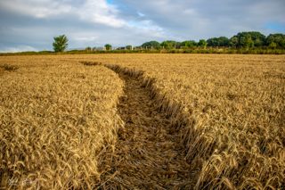 ground of Fonthill Bishop from ccc